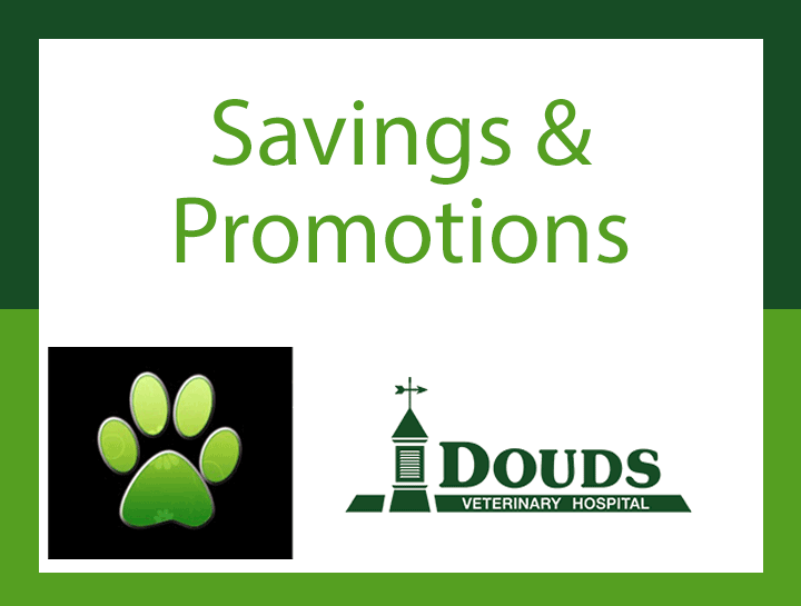 Savings & Promotions